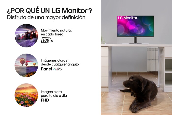 Por que un Monitor IPS Full HD de 24 pulgadas